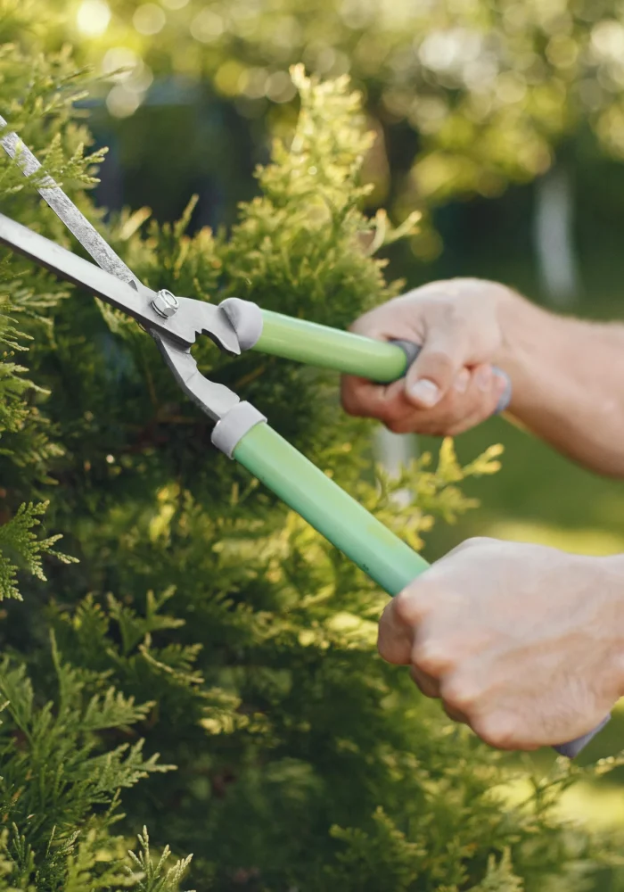 man-trimming-bough-of-brush-guy-works-in-backyard-min